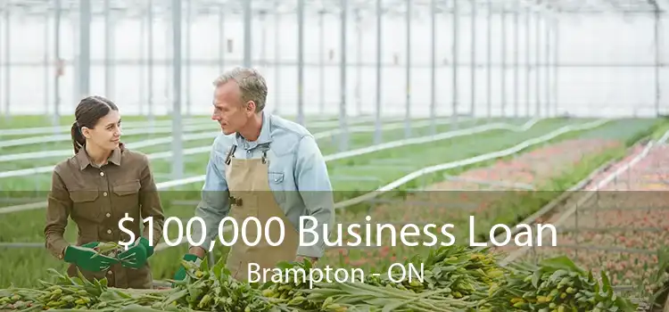 $100,000 Business Loan Brampton - ON