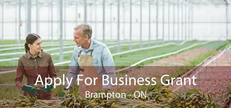 Apply For Business Grant Brampton - ON